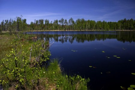 Озеро Ислиенас - Крусткалны