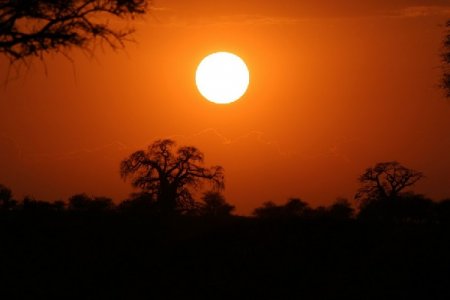Палящее солнце над Нгоронгоро