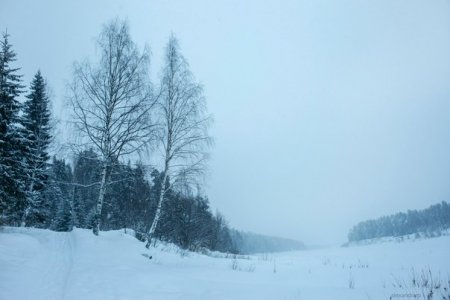 Печоро-Илычский заповедник зимой