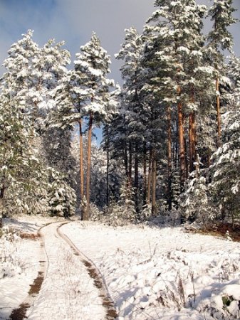 Национальный парк Себежский зимой