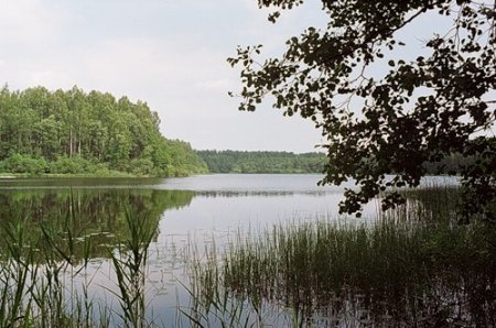 Озеро Ломашье в парке Смоленское Поозерье