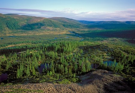Байкало-Ленский государственный природный заповедник