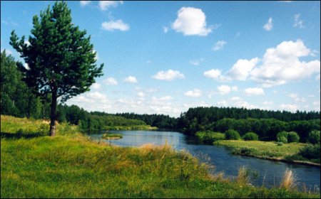 Река Большая Кокшага