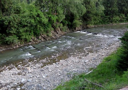Река Быстрица