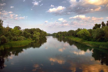 Орель - самая чистая река в Приднепровье