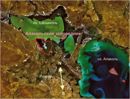 Алакольский государственный природный заповедник на карте