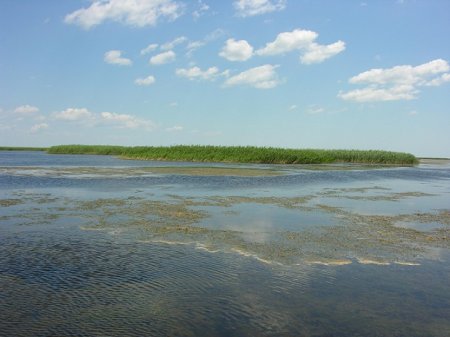 Мелководье Кизлярского залива