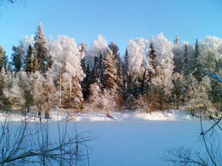 Природа заповедника Малая Сосьва зимой