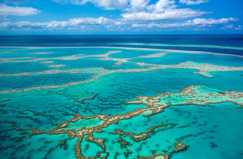 Национальный морской парк Большой Барьерный риф в Австралии: фото и видео