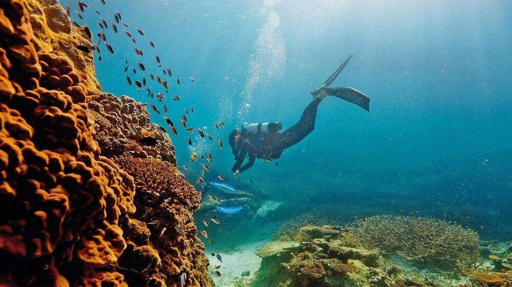 Дайвинг, кораллы, большой барьерный риф, Австралия