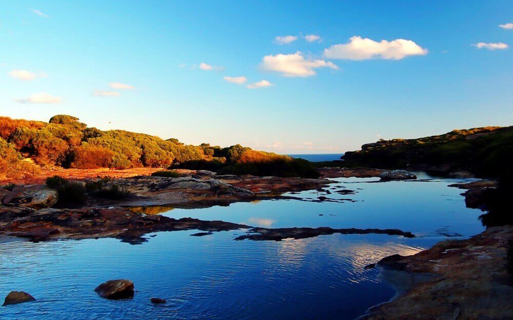 Королевский национальный парк в Австралии, река, красивый пейзаж
