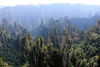 Национальный парк Чжанцзяцзе в Китае, горы, деревья, пейзаж