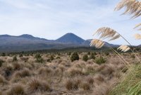 Вулкан Нгаурухоэ, фото издали, Новая Зелендия, национальный парк