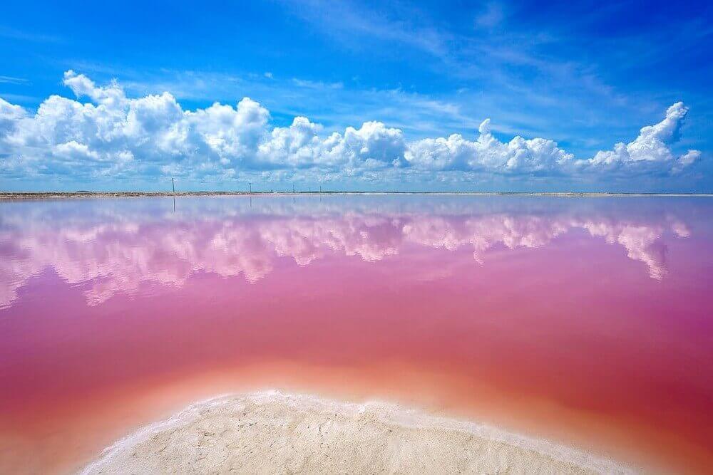 Розовые фламинго, озеро, Мексика, Риа Лагортос
