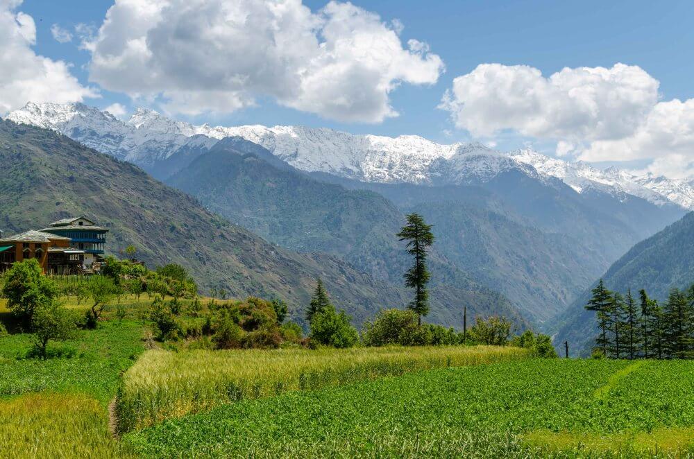Национальный парк Большие Гималаи, горы, облака, зелень